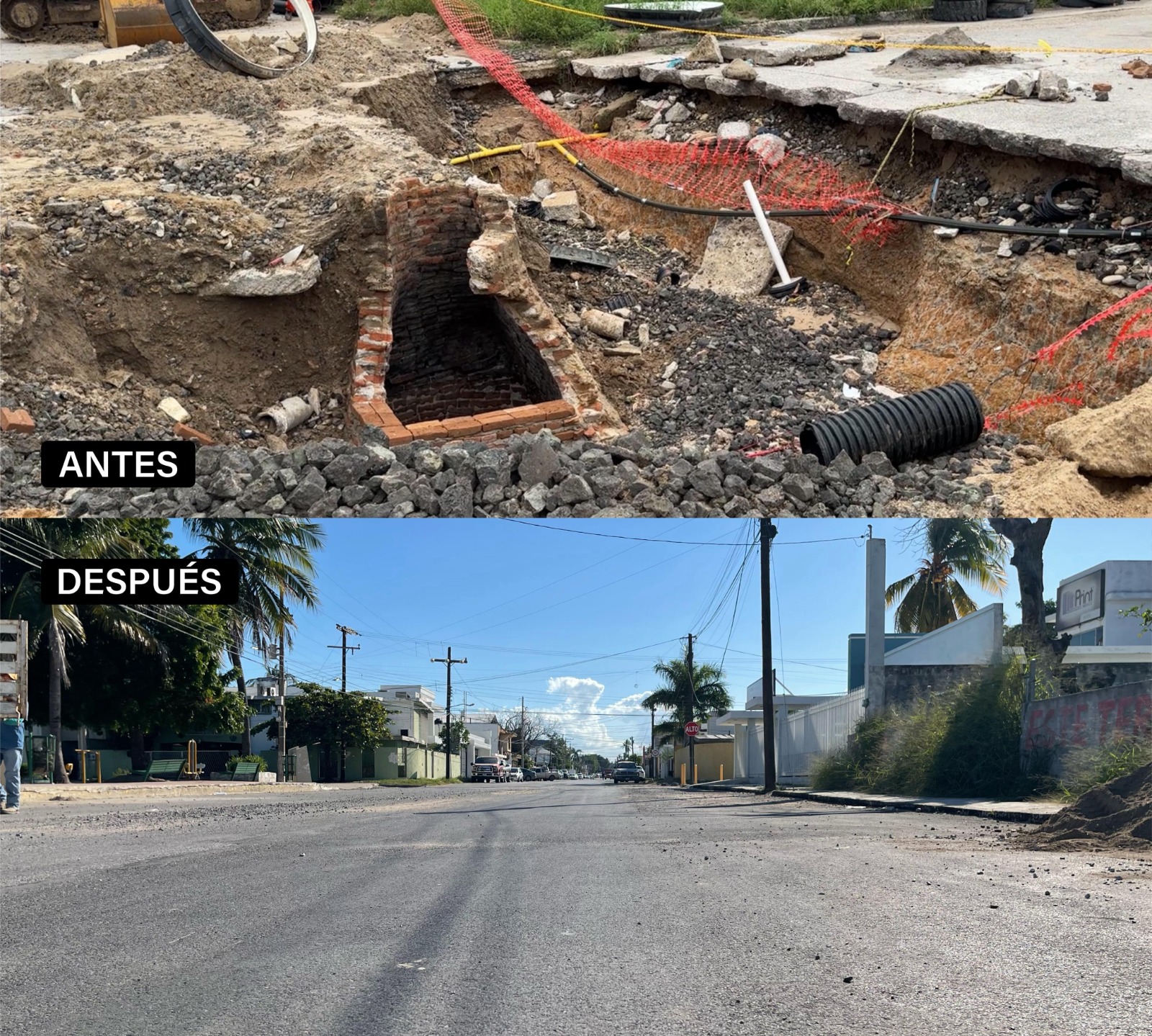 WhatsApp Image 2025-11-13 at 4.36.14 PM