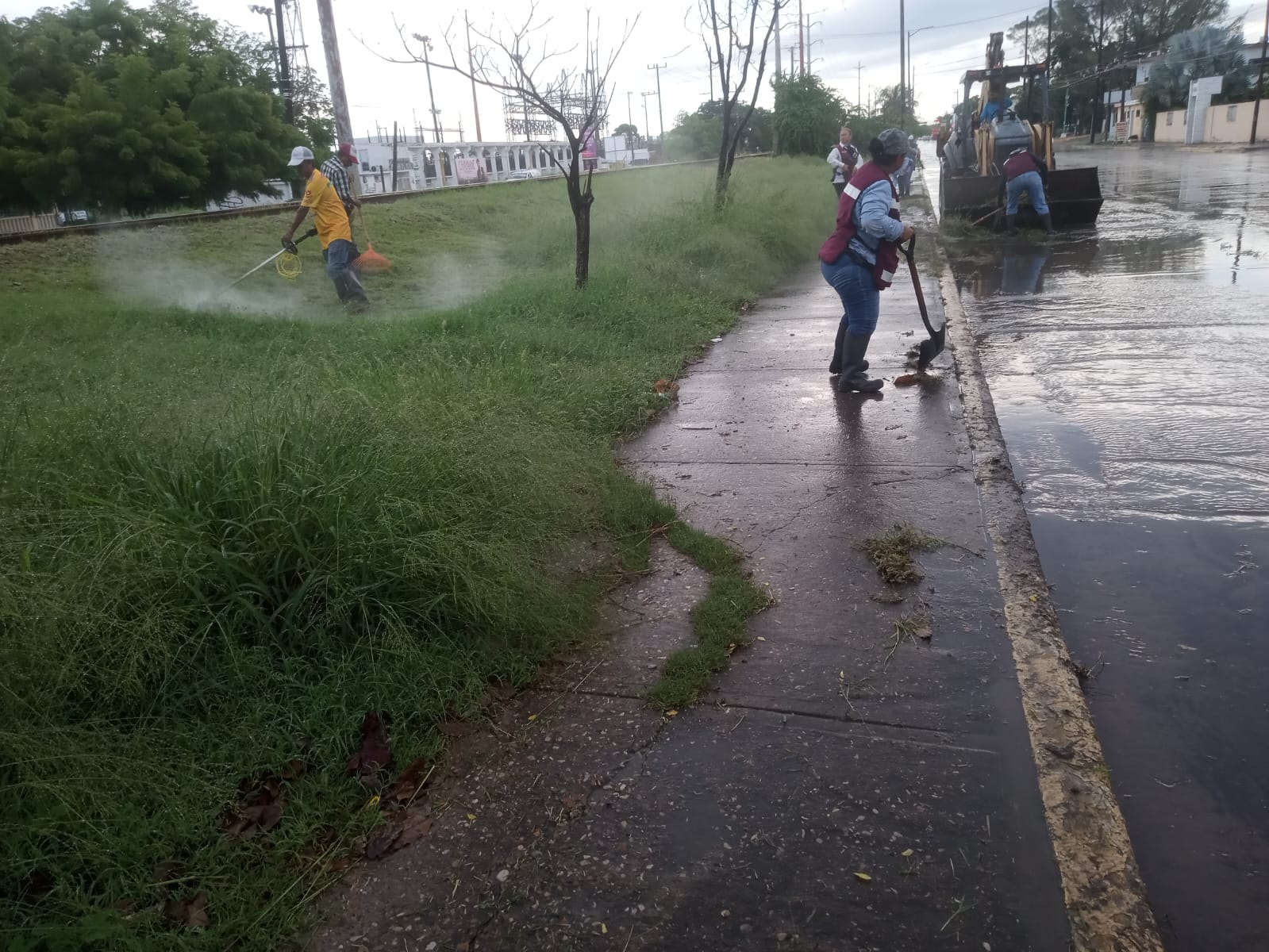 WhatsApp Image 2025-11-18 at 11.07.26 PM (1)