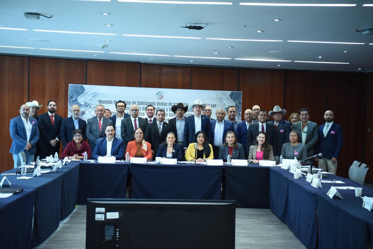 WhatsApp Image 2025-11-20 at 11.11.47 AM