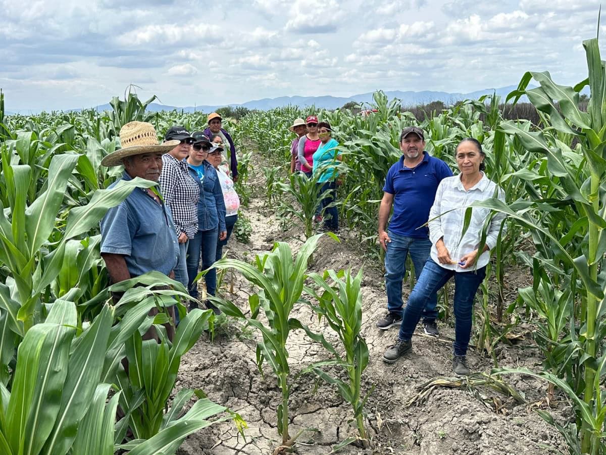 WhatsApp Image 2025-11-22 at 12.59.21 PM