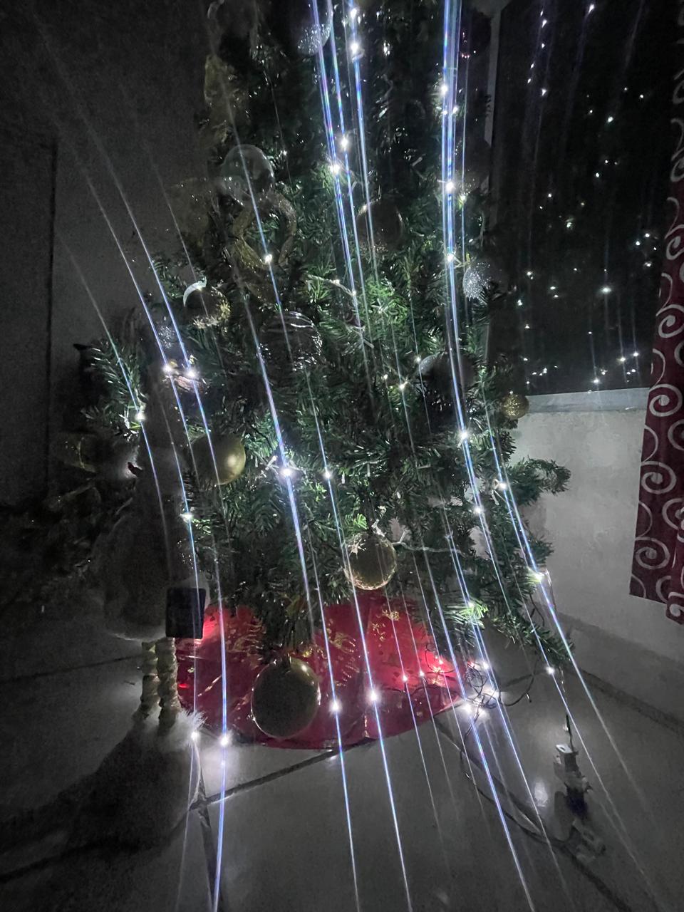 WhatsApp Image 2025-11-22 at 7.56.19 PM