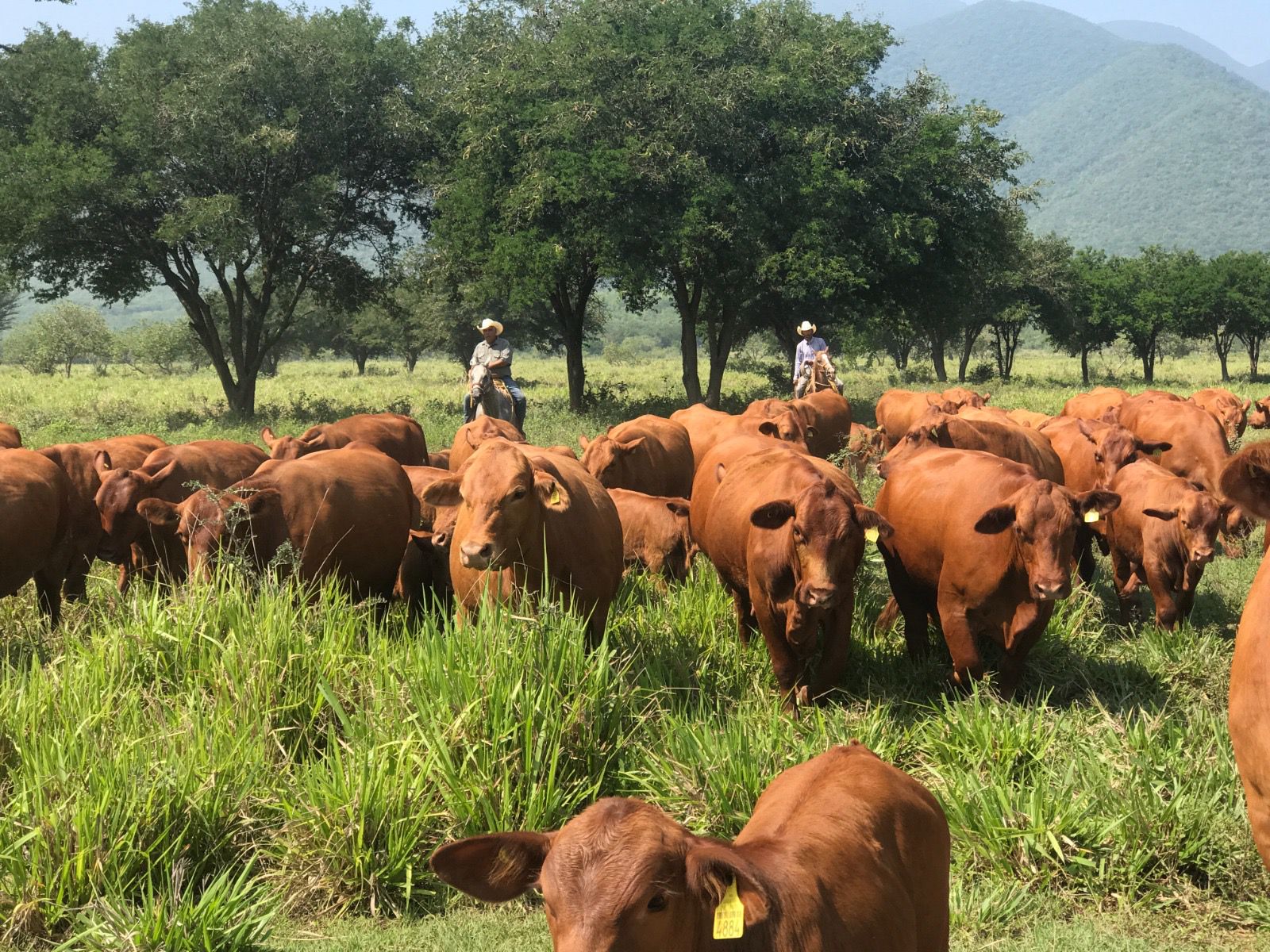 WhatsApp Image 2025-11-26 at 12.31.06 PM