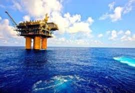 WhatsApp Image 2025-11-27 at 1.45.35 PM