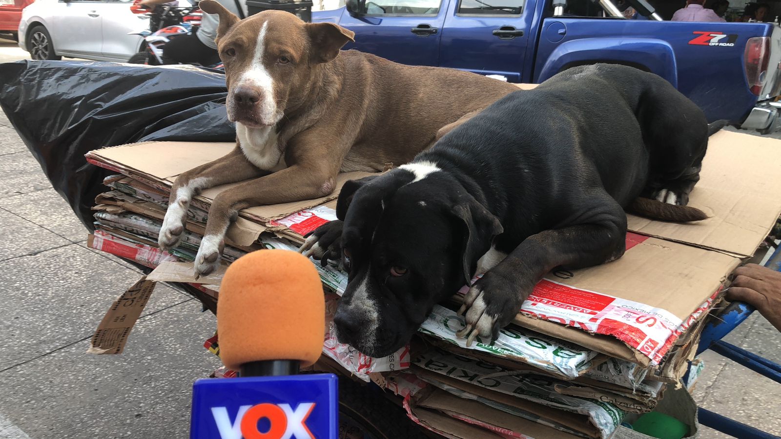 WhatsApp Image 2025-11-27 at 3.47.56 PM