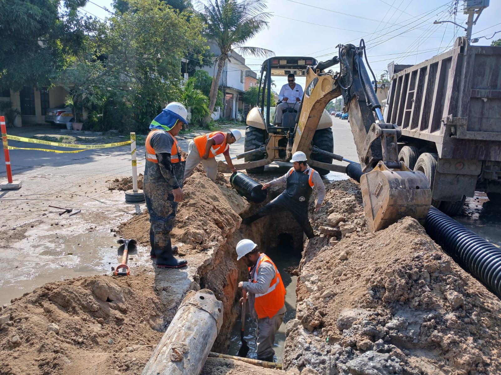 WhatsApp Image 2025-12-19 at 4.45.36 PM (1)