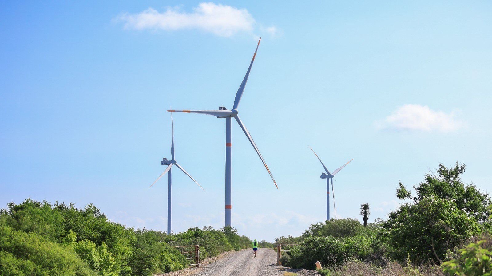 WhatsApp Image 2025-12-24 at 1.29.38 PM