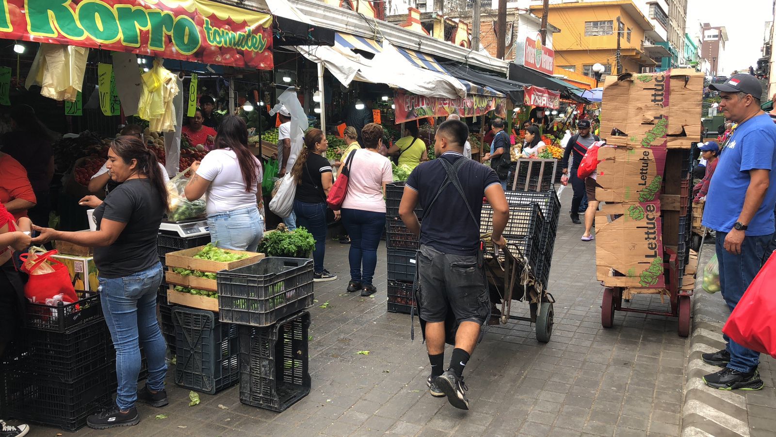 WhatsApp Image 2025-12-24 at 2.02.11 PM (2)