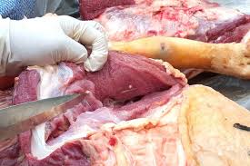 WhatsApp Image 2025-12-24 at 2.42.12 PM