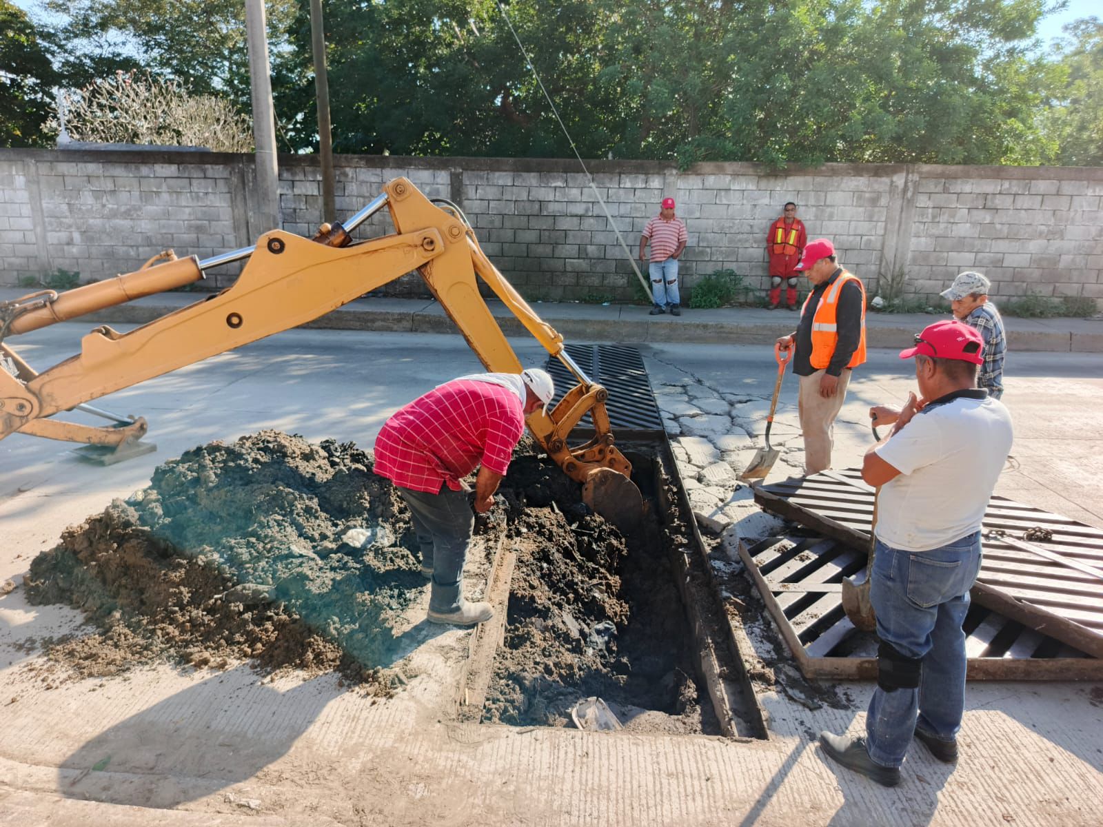 WhatsApp Image 2025-12-26 at 3.52.58 PM (1)