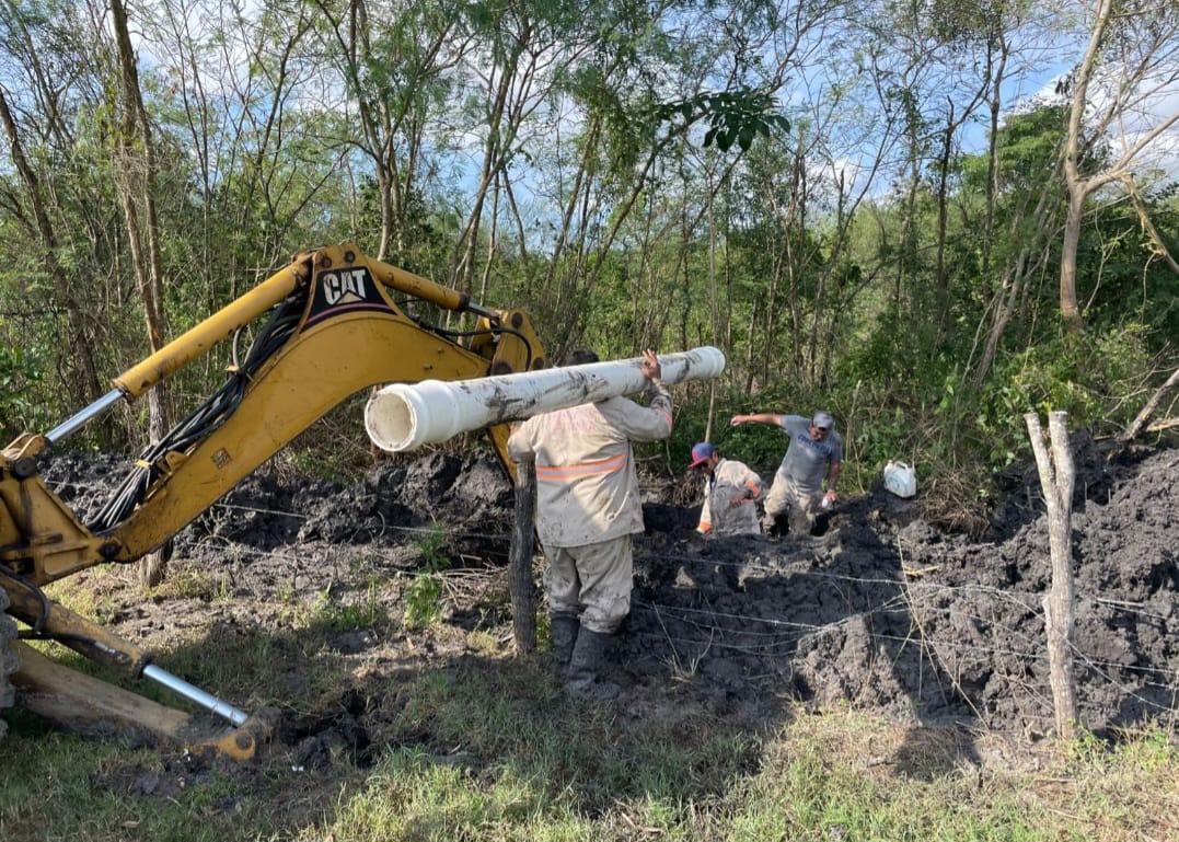 WhatsApp Image 2025-12-26 at 4.36.31 PM