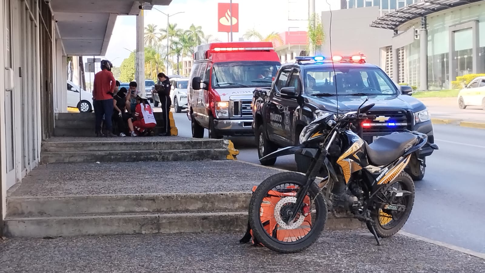 WhatsApp Image 2025-12-28 at 4.50.16 PM