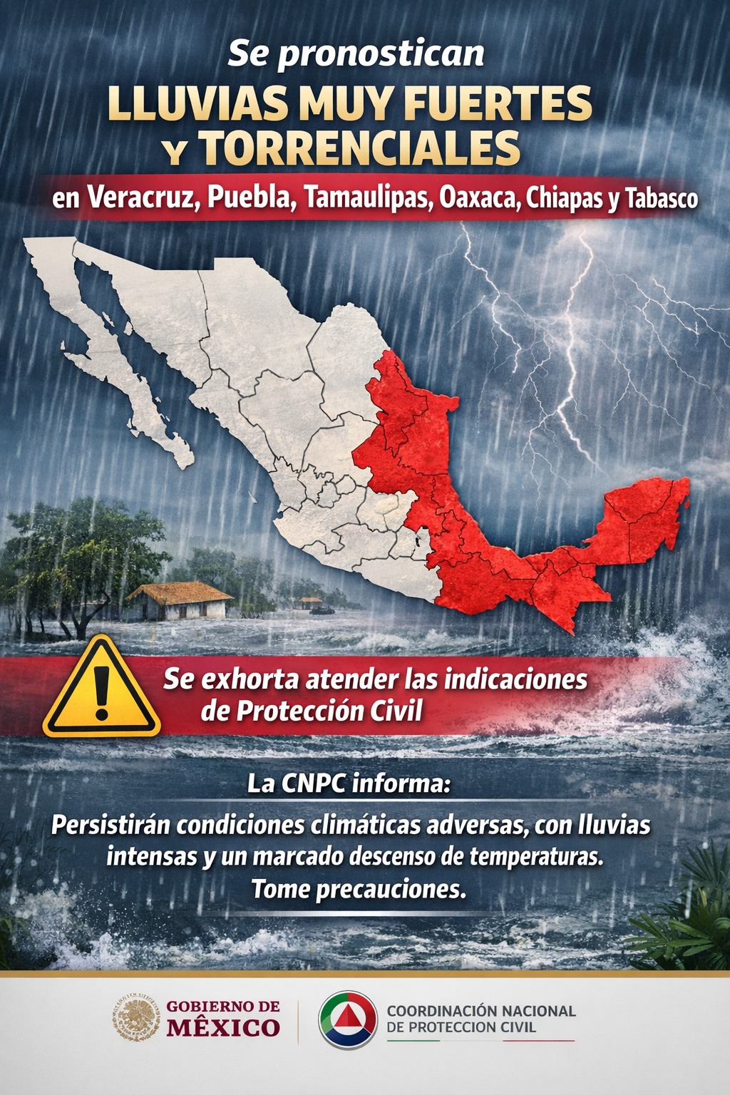 WhatsApp Image 2025-12-29 at 1.49.06 PM