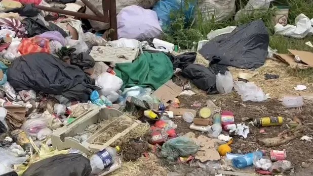 596798156_122113643043059276_7471943015894665986_n