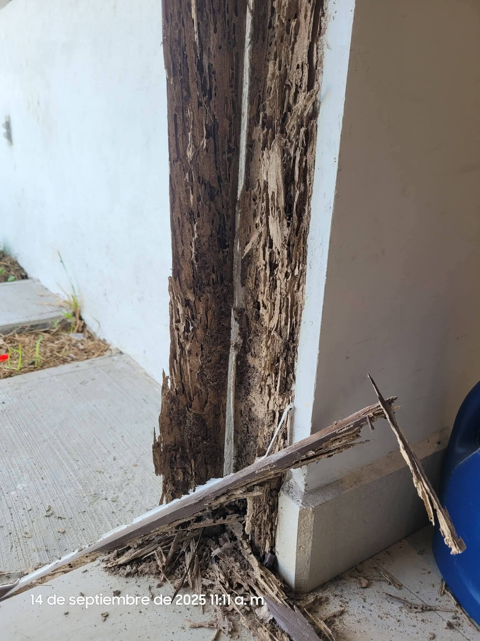 615471621_1463762379083833_42205753109541297_n