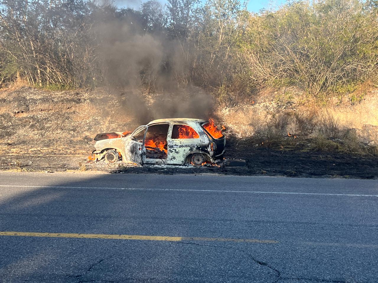 WhatsApp Image 2026-01-05 at 4.22.30 PM