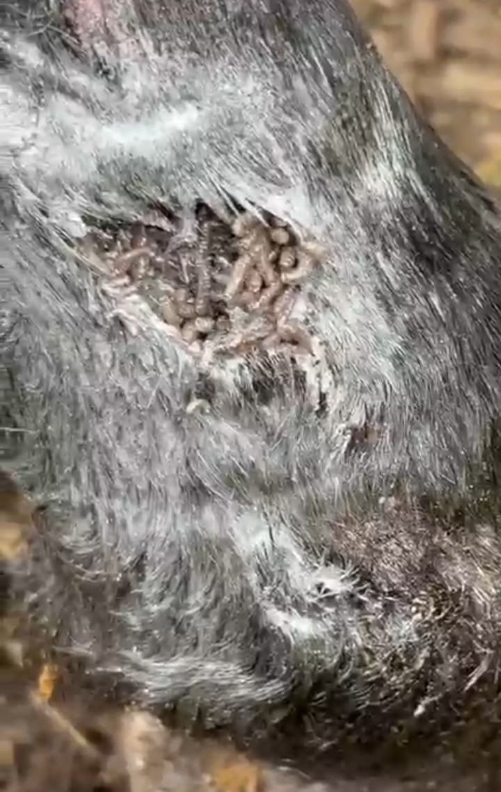 WhatsApp Image 2026-01-05 at 6.38.59 AM (2)