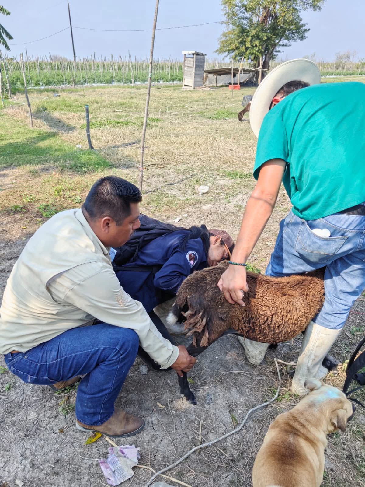 WhatsApp Image 2026-01-06 at 2.50.01 PM