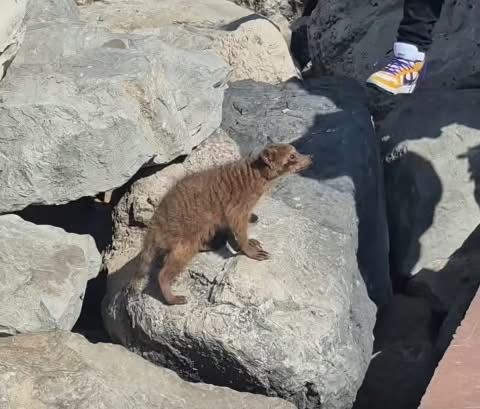 WhatsApp Image 2026-01-09 at 1.41.34 PM (3)