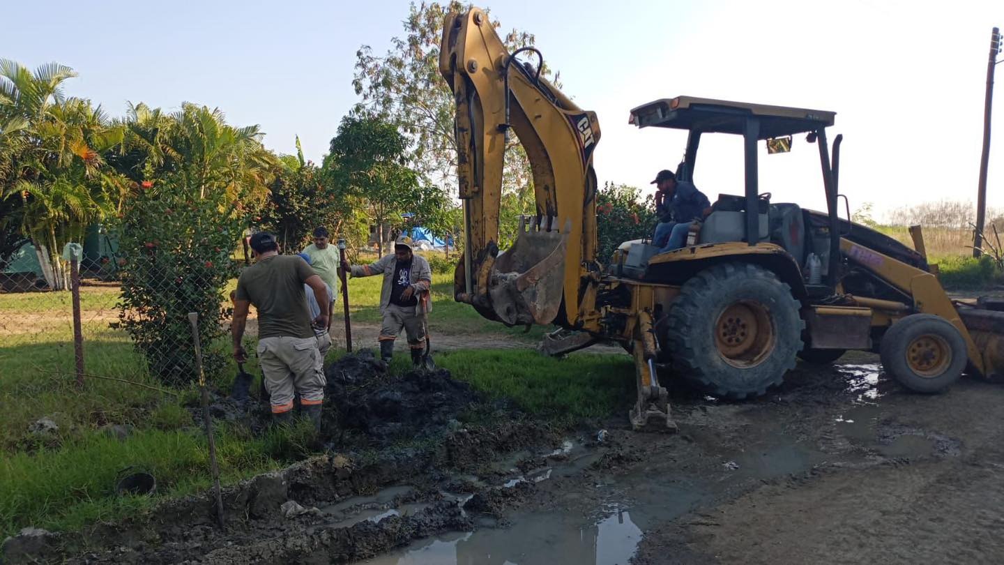 WhatsApp Image 2026-01-15 at 2.28.10 PM