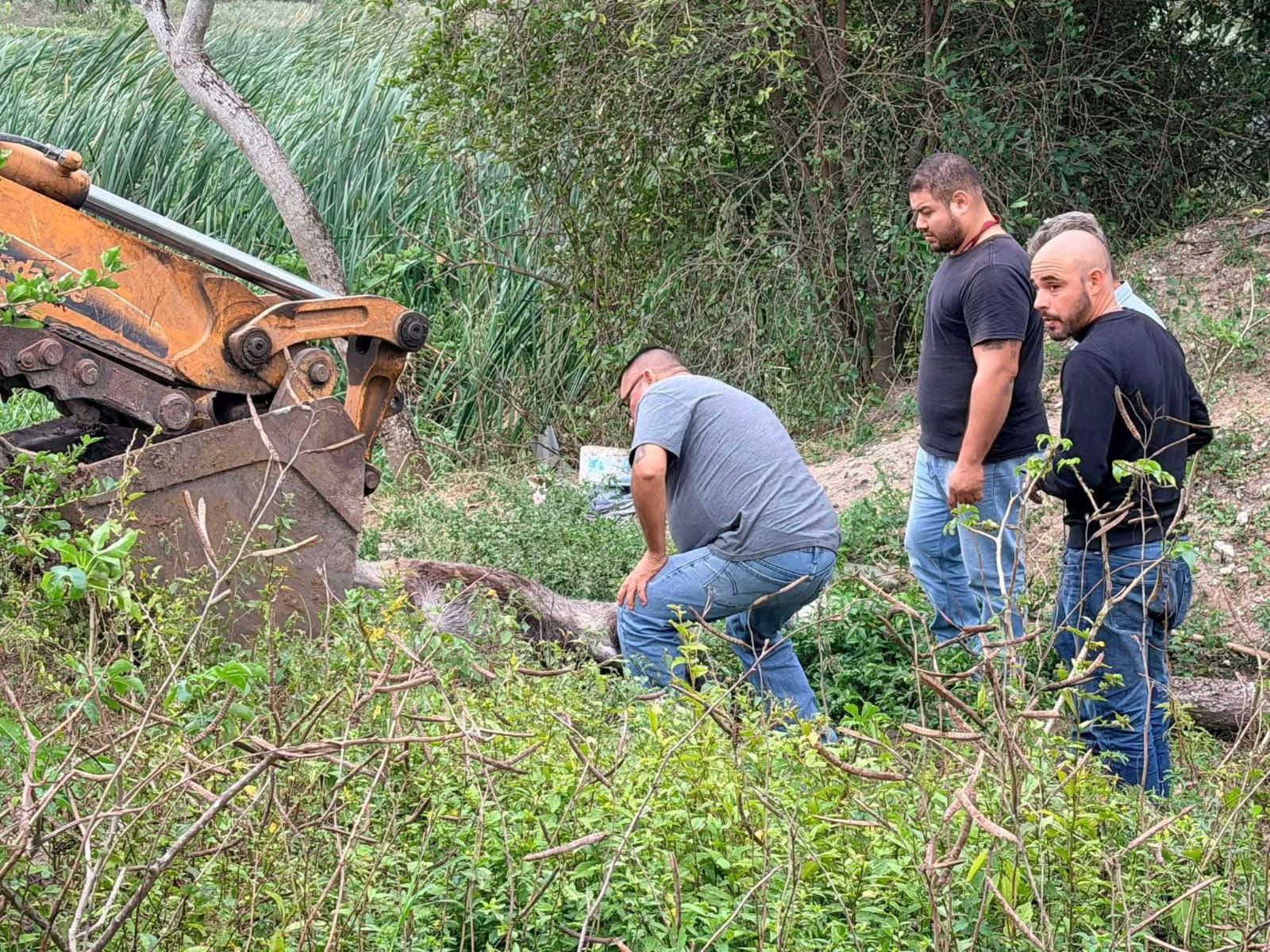 WhatsApp Image 2026-01-15 at 9.33.19 AM