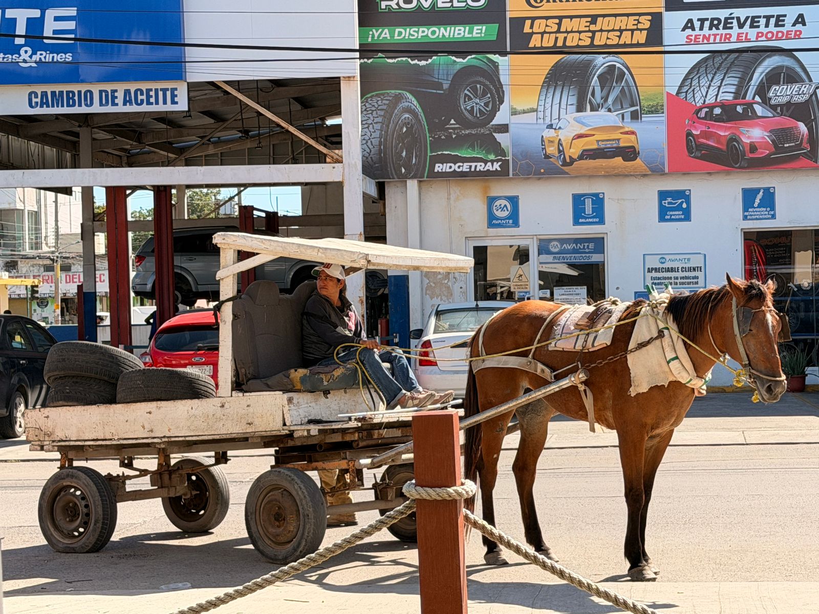 WhatsApp Image 2026-01-16 at 1.20.11 PM