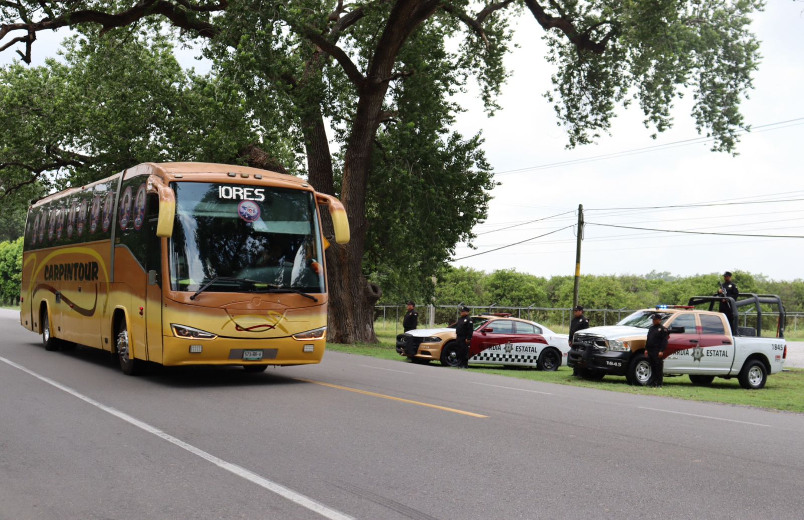 WhatsApp Image 2026-01-18 at 3.01.05 PM