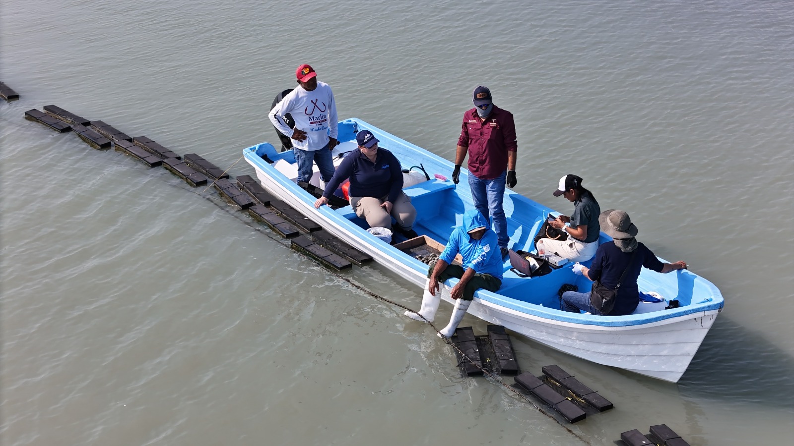 WhatsApp Image 2026-01-19 at 12.57.55 PM (1)