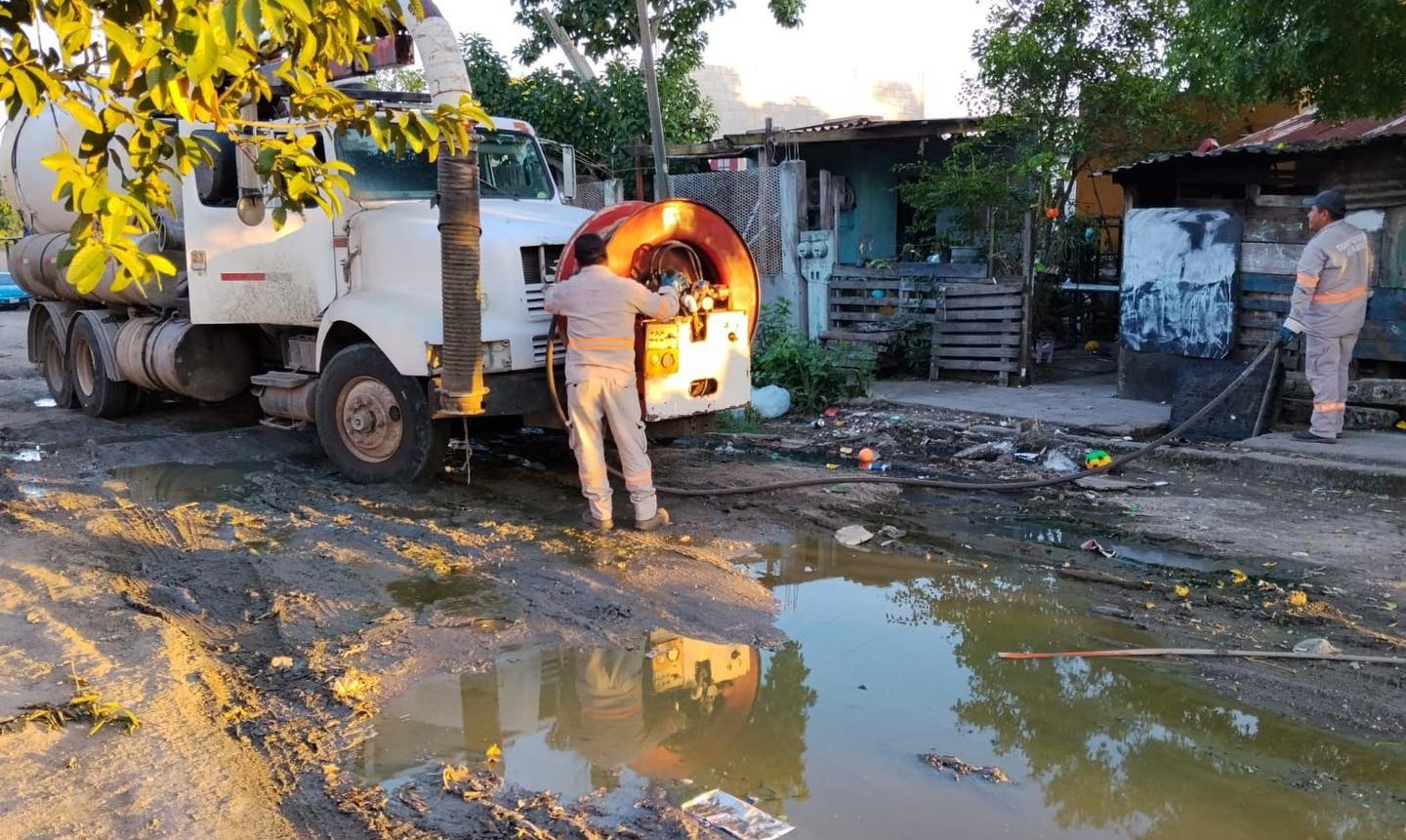 WhatsApp Image 2026-01-23 at 4.10.33 PM