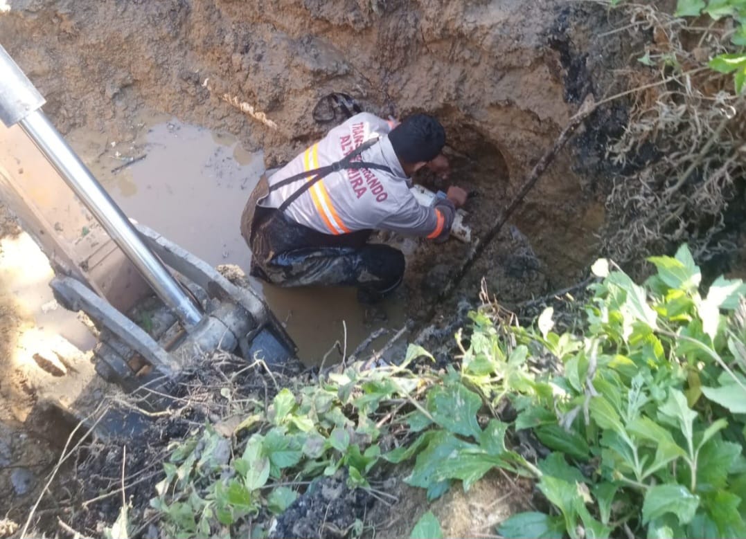 WhatsApp Image 2026-01-24 at 3.03.53 PM