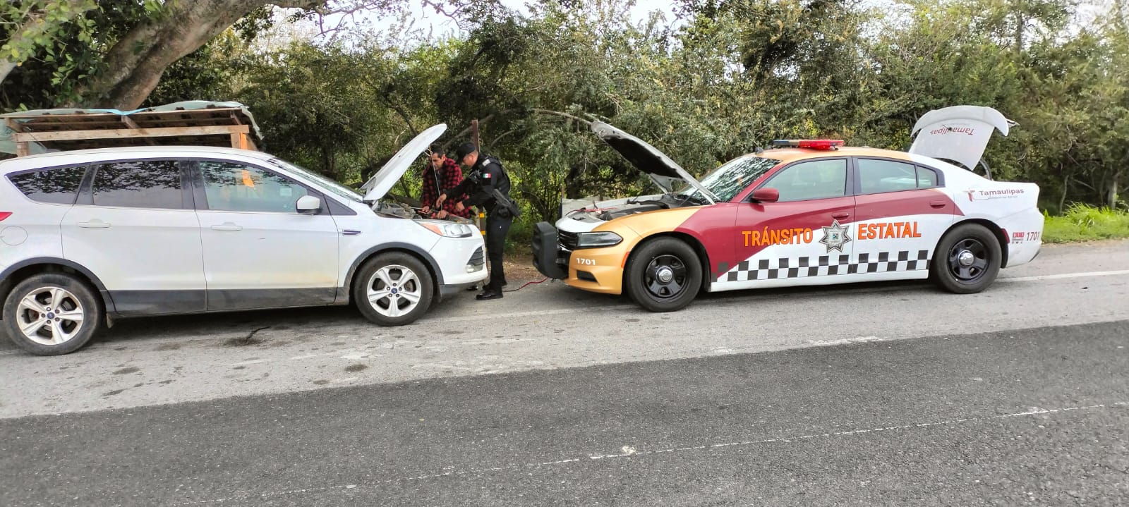 WhatsApp Image 2026-01-25 at 4.22.42 PM (1)