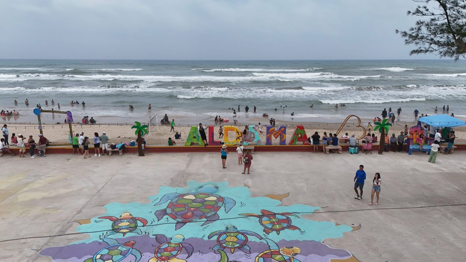 WhatsApp Image 2026-01-26 at 3.10.34 PM (1)