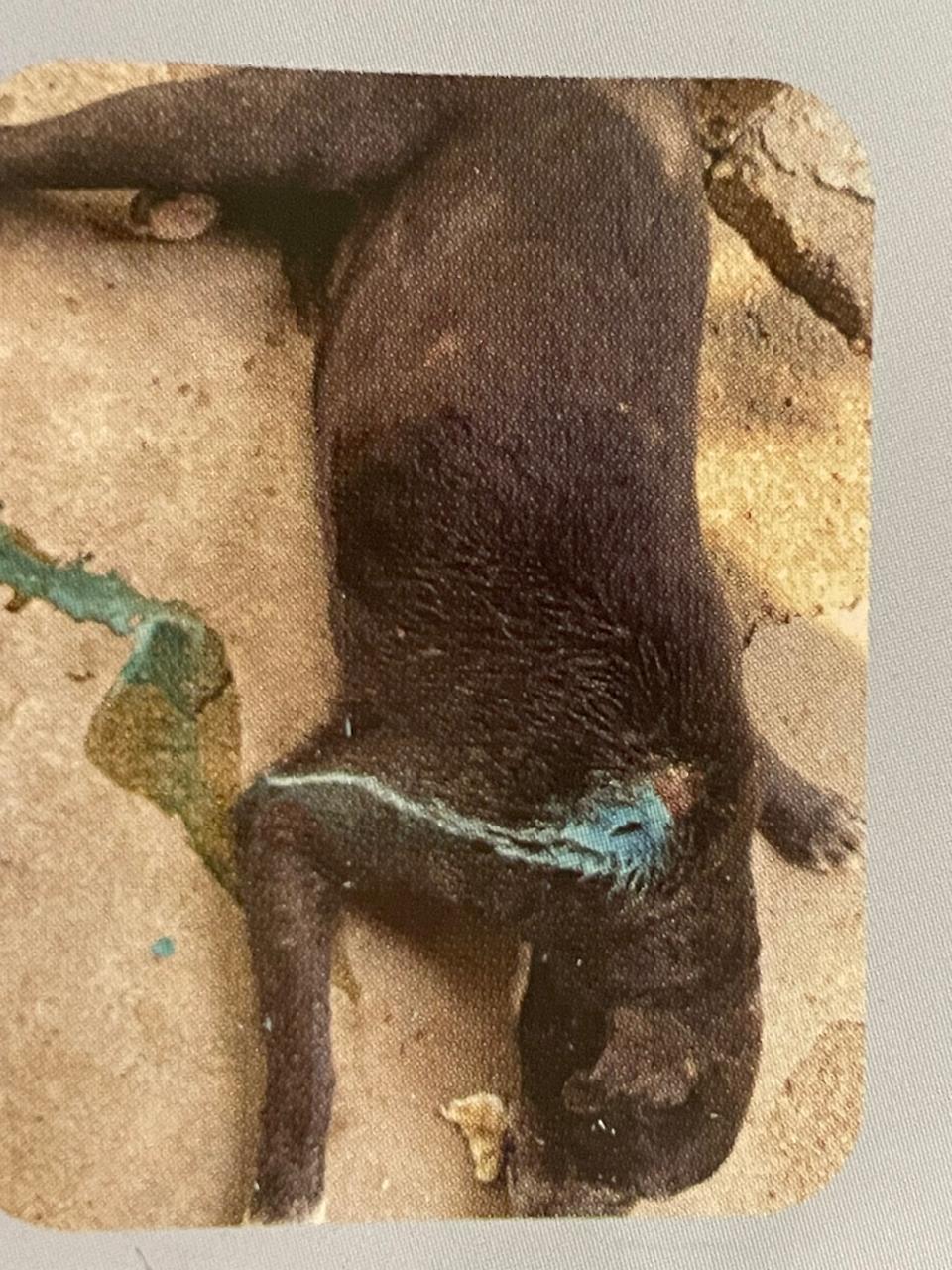 WhatsApp Image 2026-01-26 at 5.48.15 PM