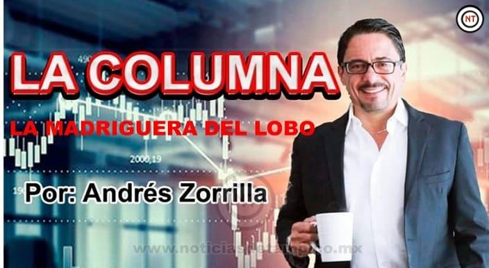 WhatsApp Image 2026-01-27 at 12.43.59 PM