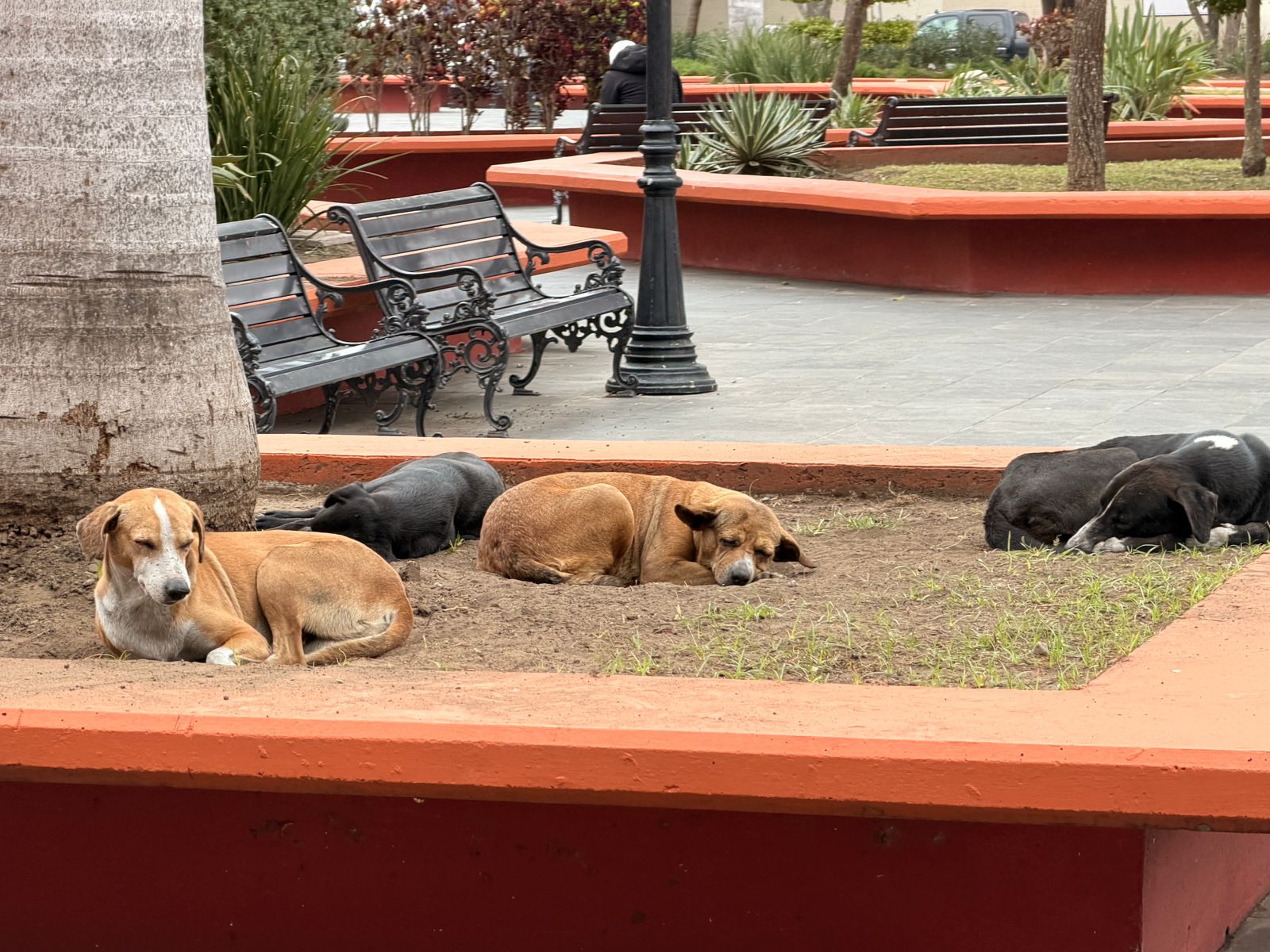 WhatsApp Image 2026-01-27 at 12.54.56 PM (1)