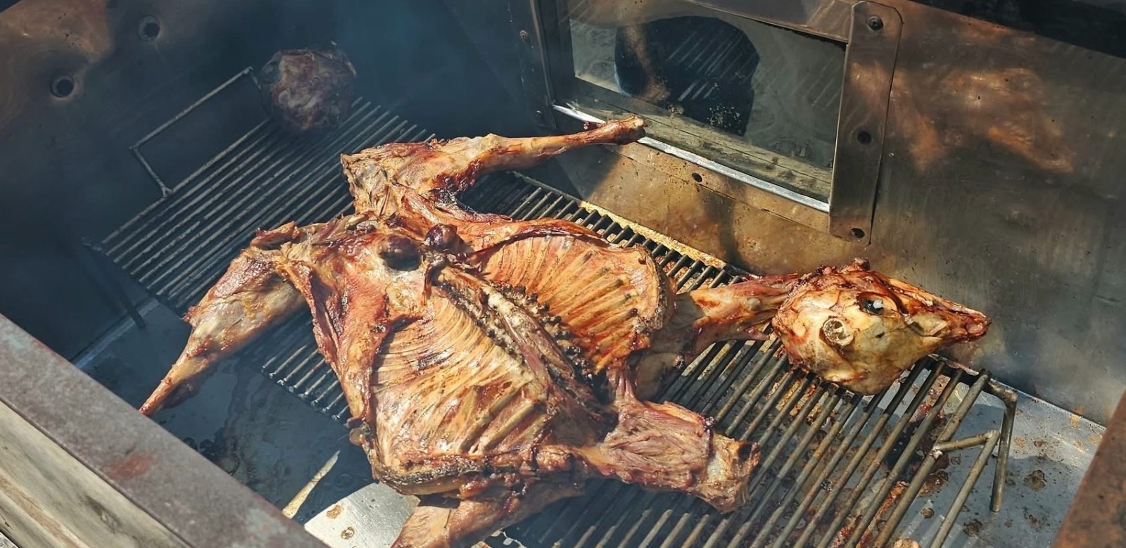 WhatsApp Image 2026-01-30 at 11.59.44 AM (1)