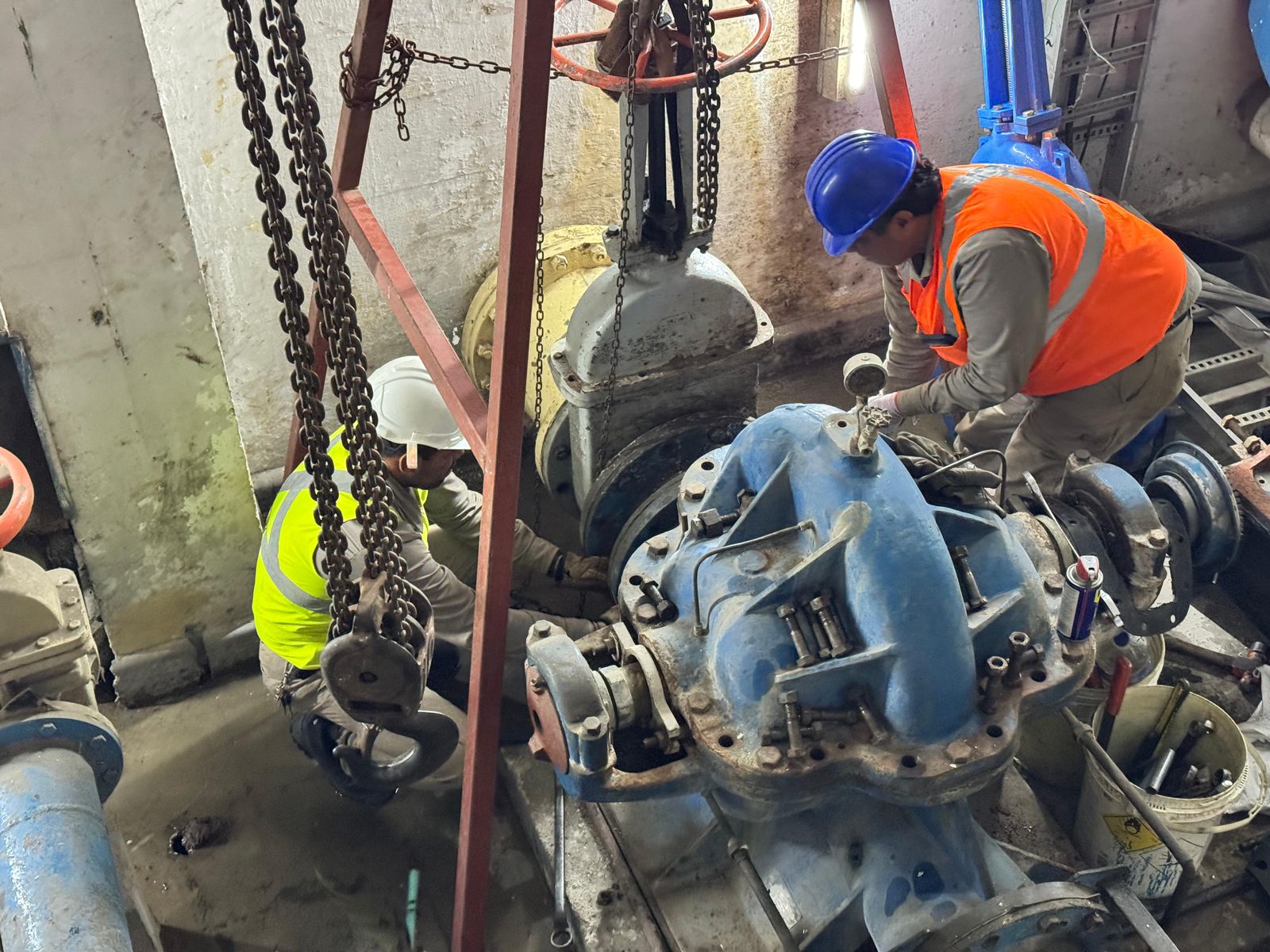 WhatsApp Image 2026-02-01 at 3.16.32 PM (1)