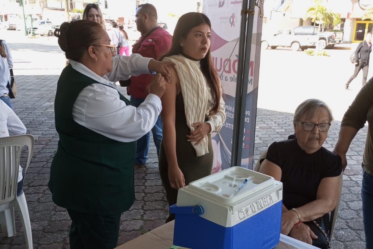 WhatsApp Image 2026-02-01 at 8.00.09 PM