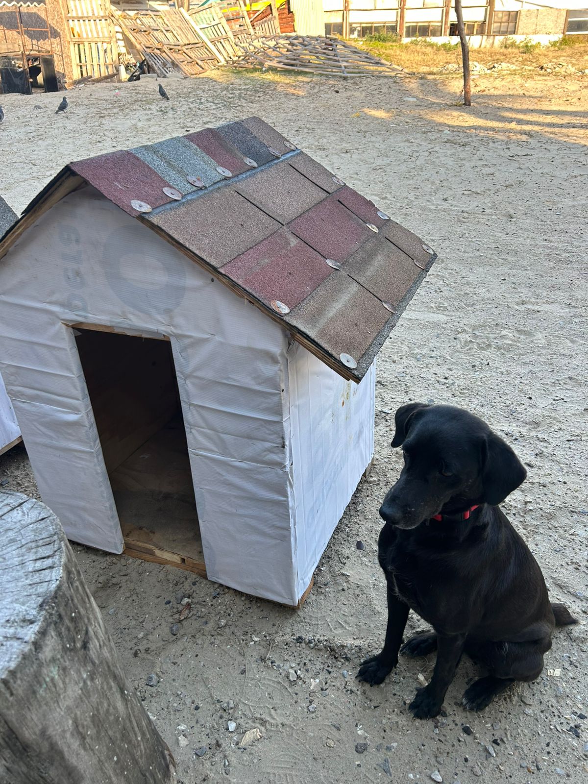 WhatsApp Image 2026-02-06 at 9.46.05 AM (1)