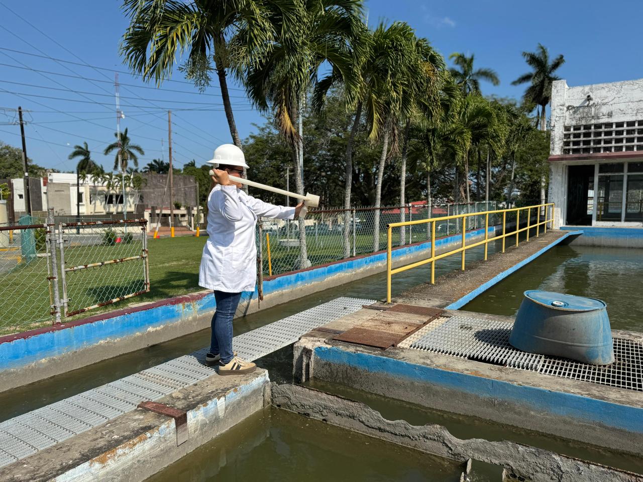 WhatsApp Image 2026-02-12 at 4.00.59 PM (1)