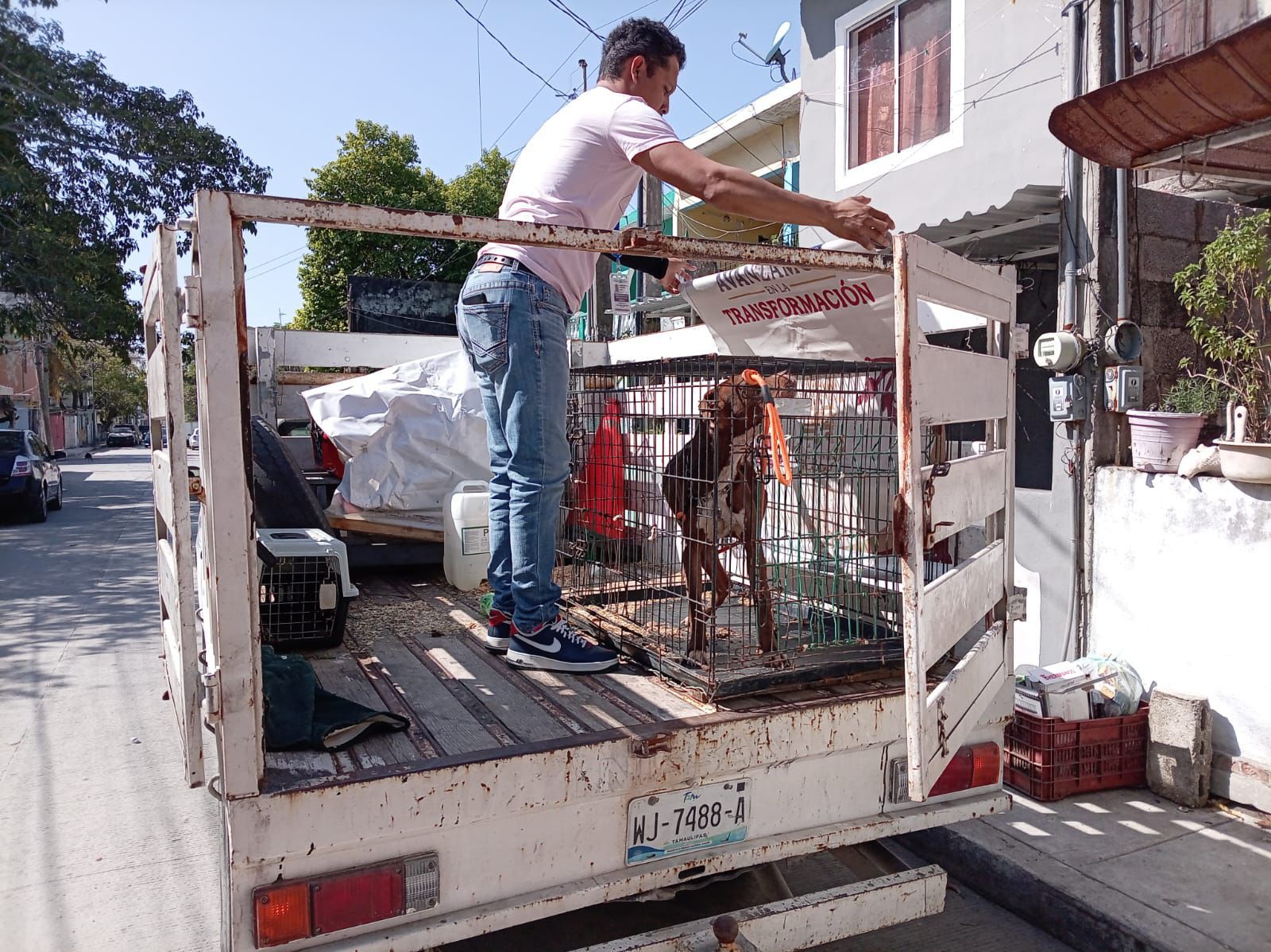 WhatsApp Image 2026-02-16 at 1.51.00 PM (2)