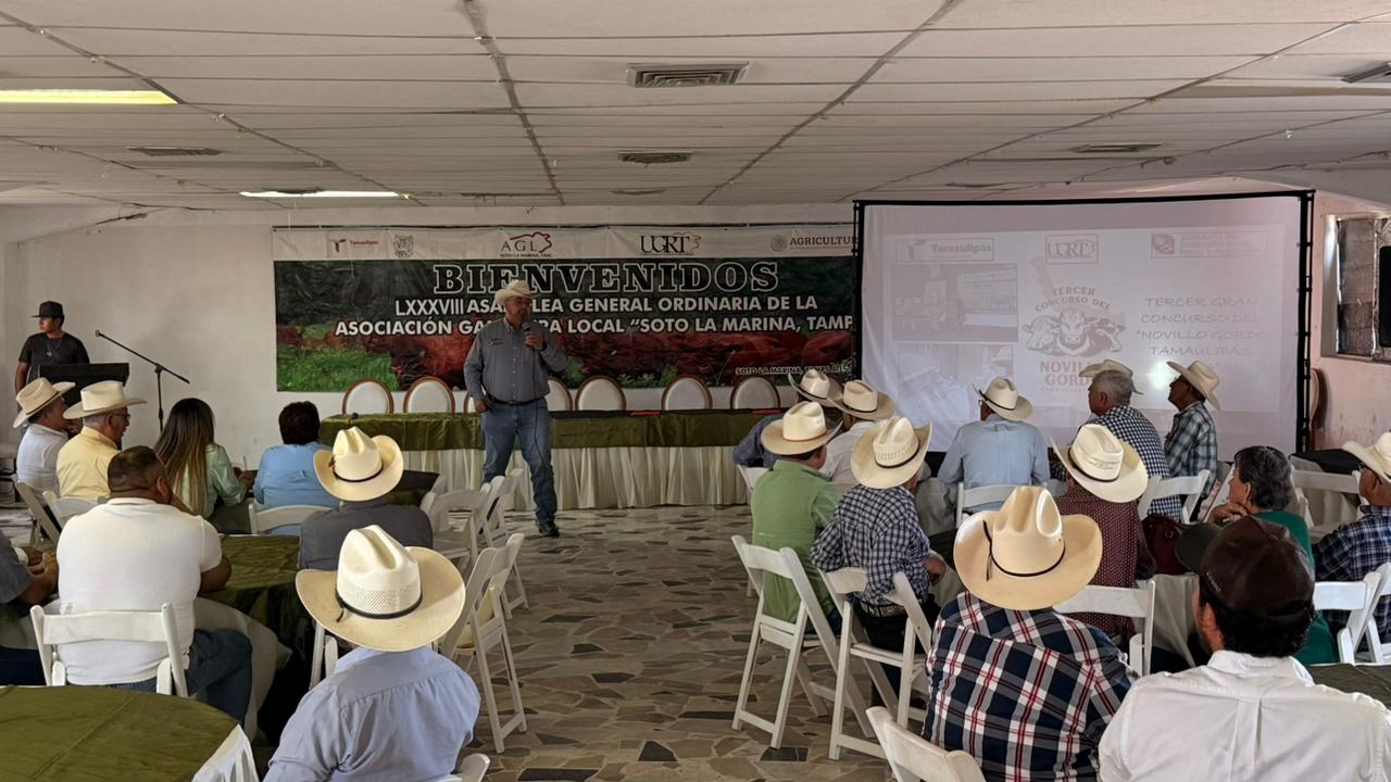 WhatsApp Image 2026-02-16 at 11.39.47 AM