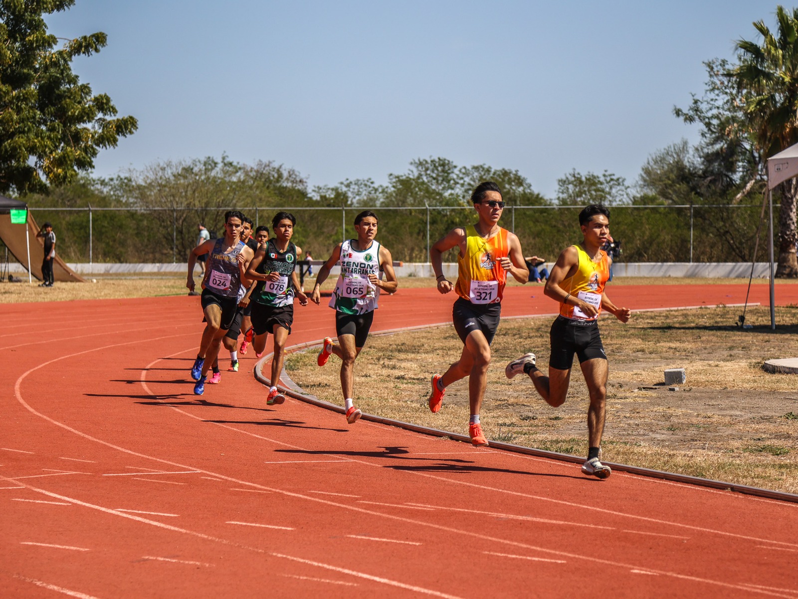 WhatsApp Image 2026-02-16 at 12.06.15 PM (1)