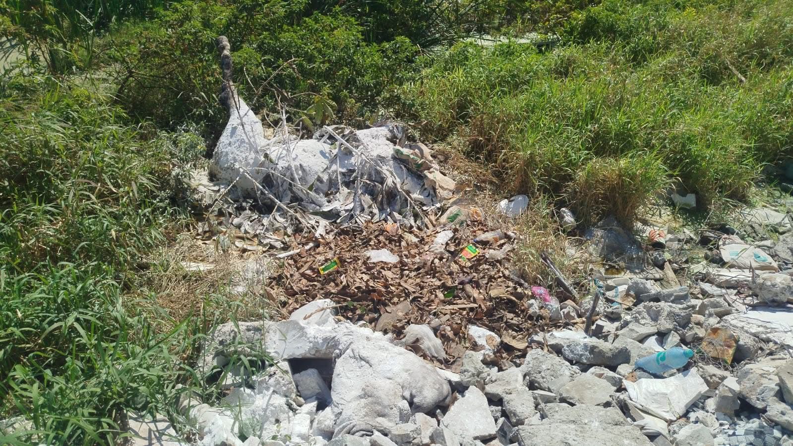 WhatsApp Image 2026-02-17 at 2.00.46 PM