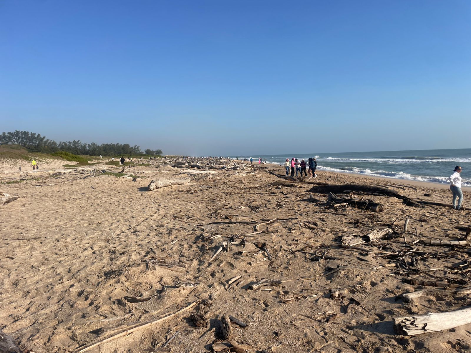 WhatsApp Image 2026-02-26 at 3.12.35 PM (1)