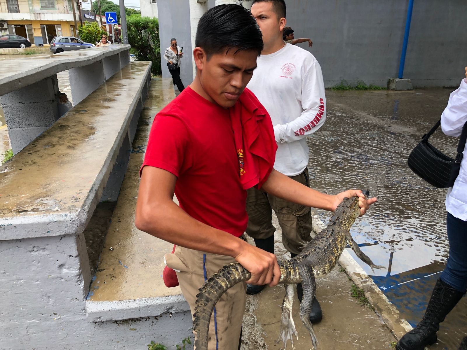 WhatsApp-Image-2025-10-10-at-6.09.11-PM-1