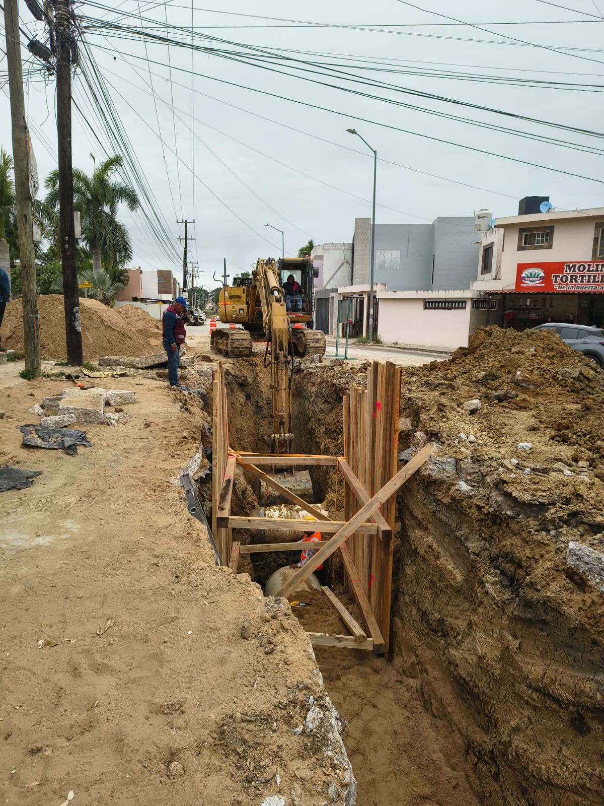 WhatsApp Image 2026-03-11 at 2.54.22 PM (2)