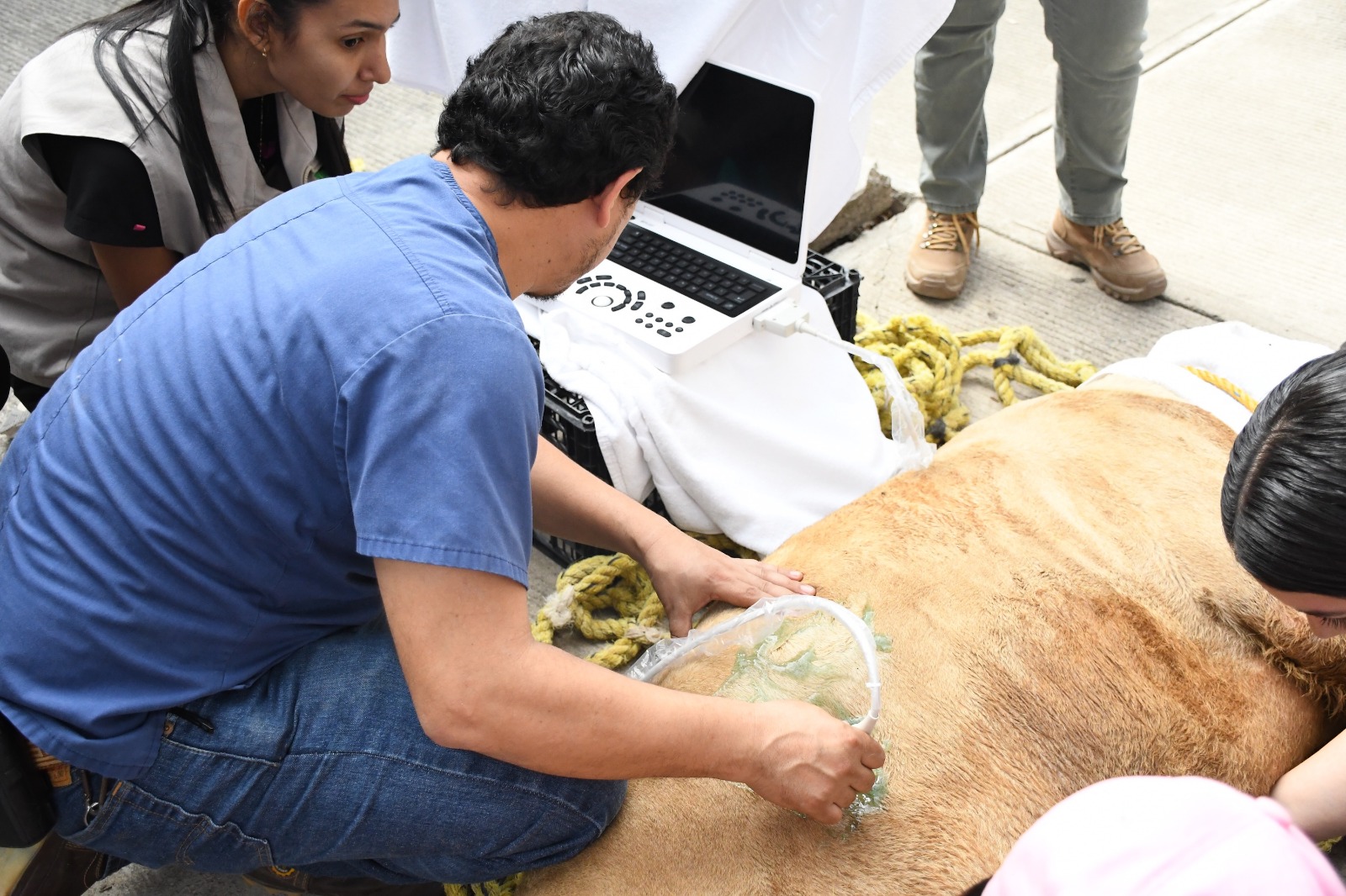 WhatsApp Image 2026-03-11 at 5.15.48 PM (1)