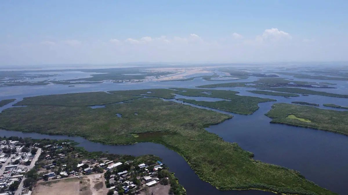 WhatsApp Image 2026-03-19 at 1.46.37 PM