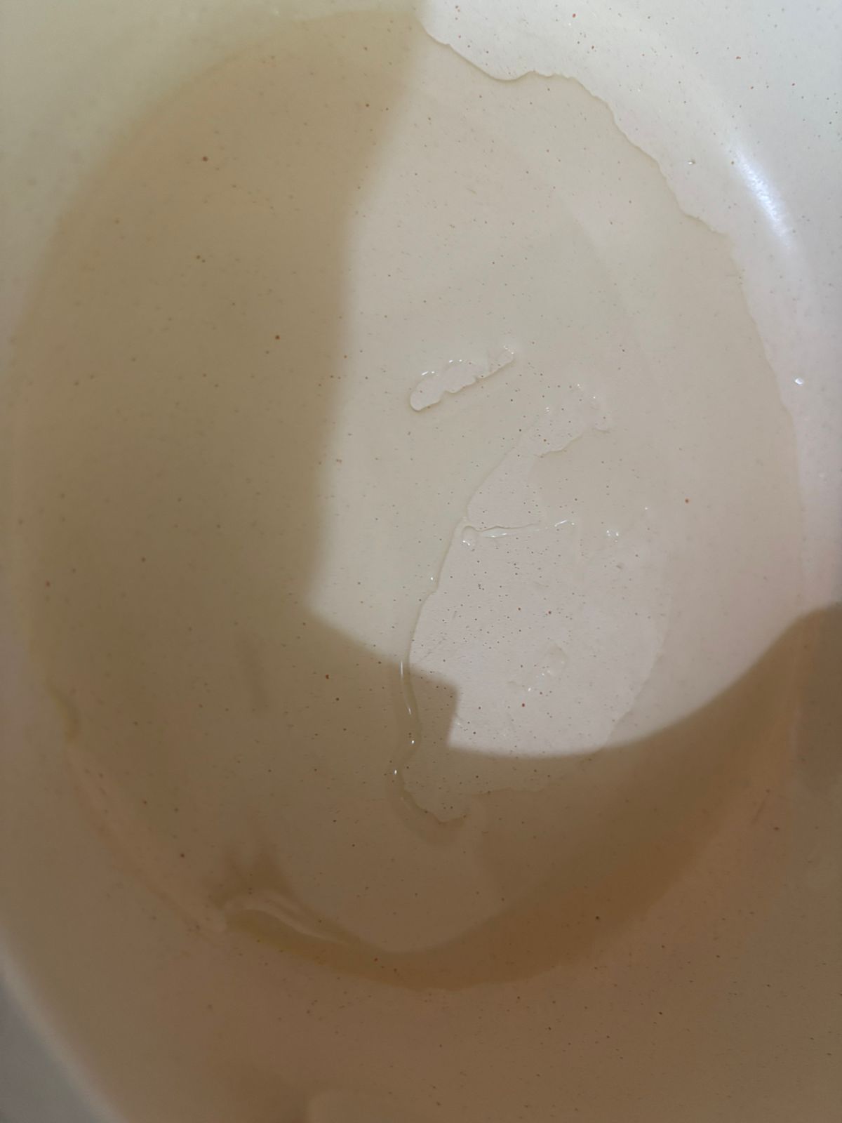 WhatsApp Image 2026-03-20 at 2.04.23 PM