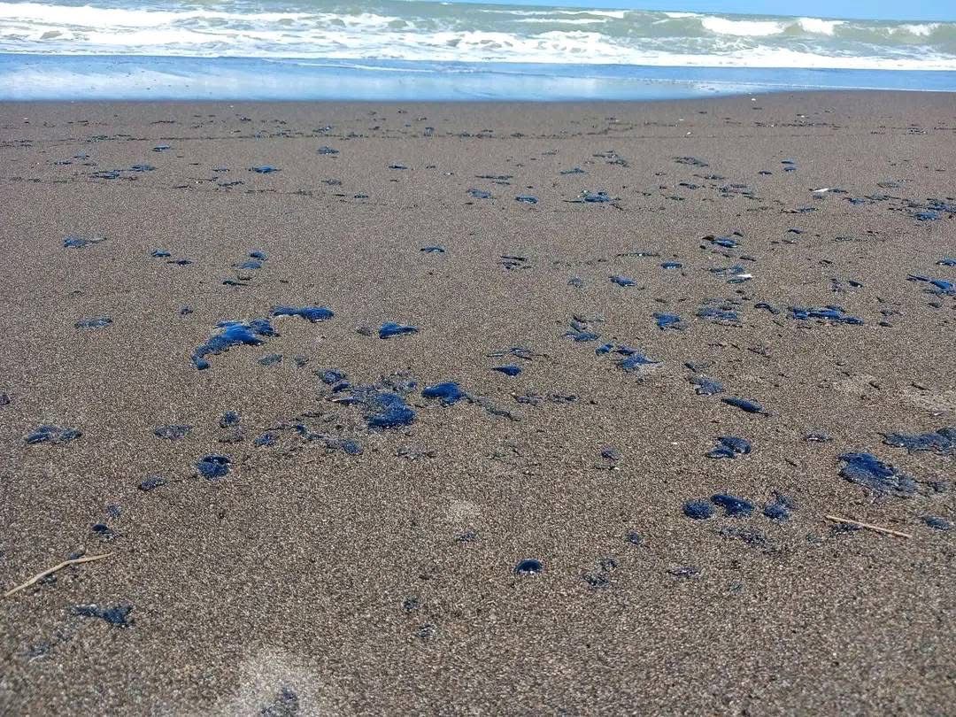 WhatsApp Image 2026-03-24 at 3.41.00 PM